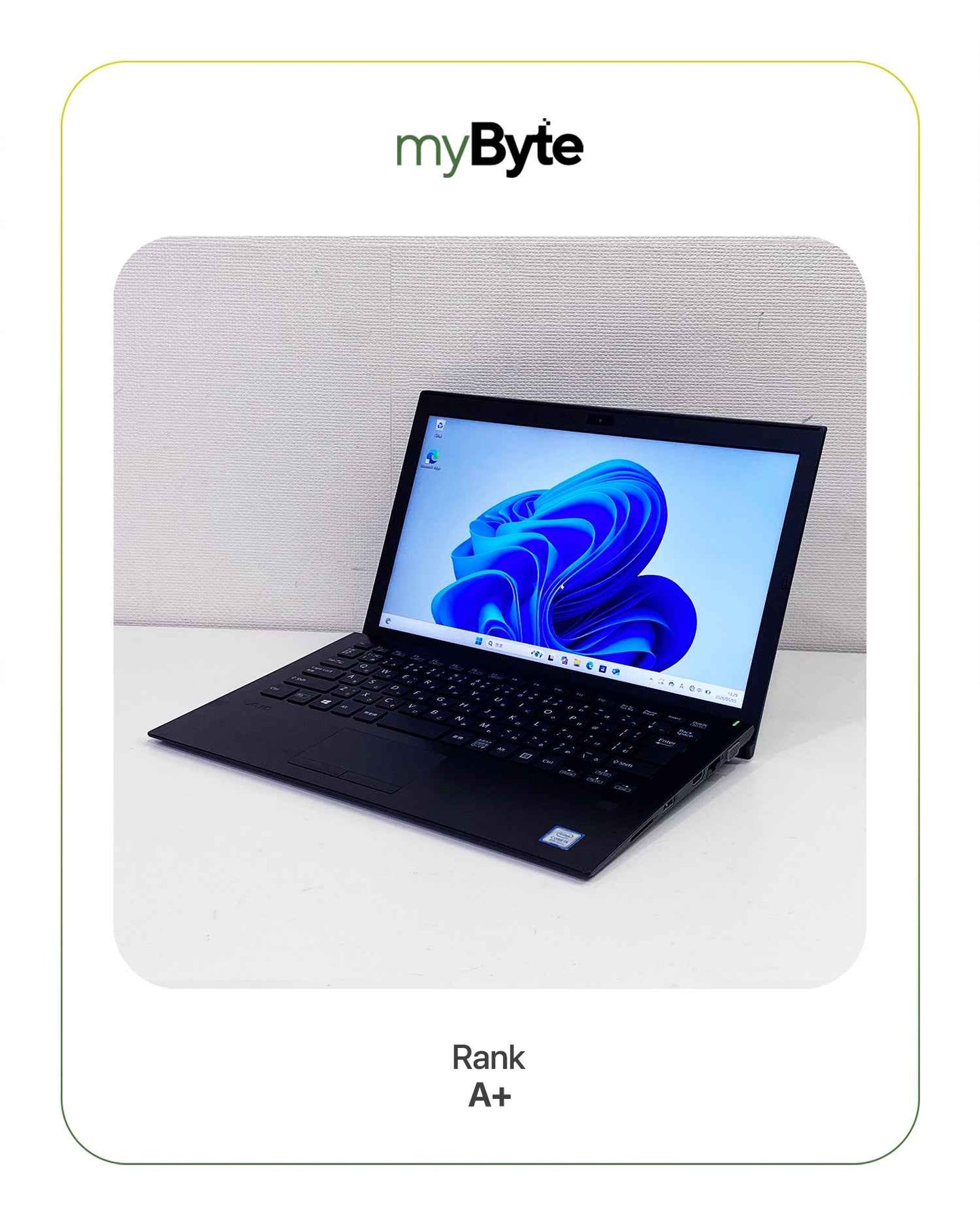 Sony VAIO VJPG11C11N